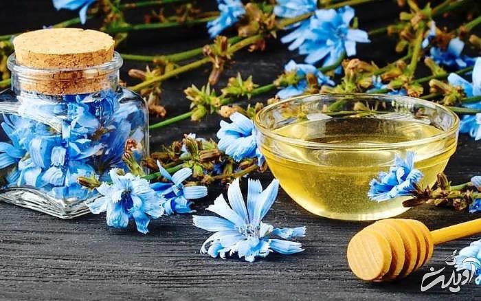 شربت عرق کاسنی با عسل عرق کاسنی